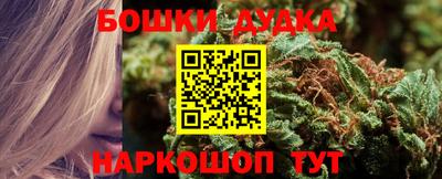 стафф Ставрополь
