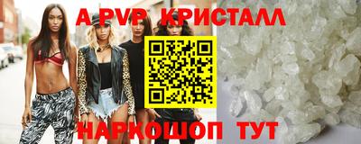 стафф Ставрополь